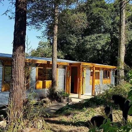 Evergreen Cabin Karkloof Karkloof Nature Reserve Exterior photo