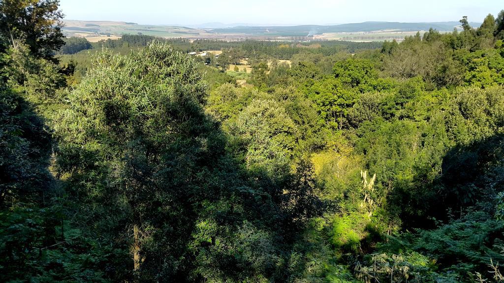 Evergreen Cabin Karkloof Karkloof Nature Reserve Exterior photo